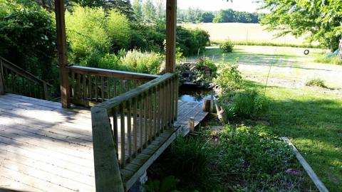 3961 E Sugar Grove Rd, Custer, MI 49405 photo 18