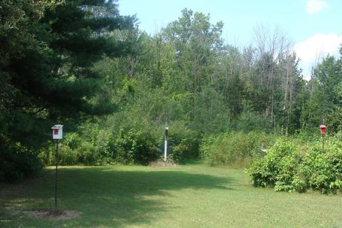 6801 E Pakes Rd, Crystal, MI 48818 photo 29