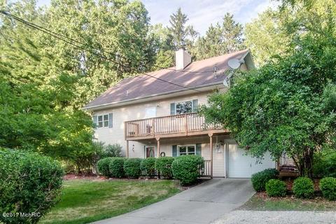 217 Engle Dr, Olivet, MI 49076 photo 1