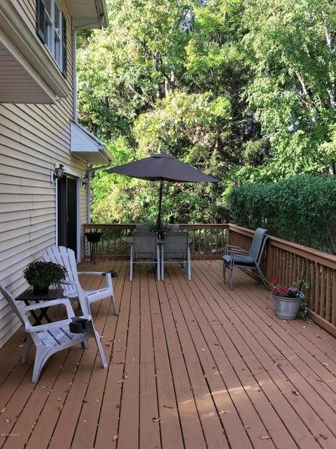 217 Engle Dr, Olivet, MI 49076 photo 19