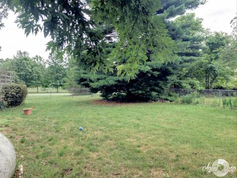 4325 E River Rd, Buchanan, MI 49107 photo 22