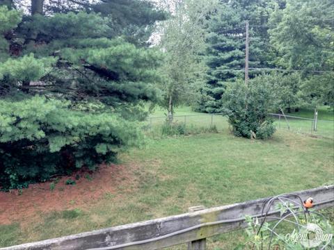 4325 E River Rd, Buchanan, MI 49107 photo 21