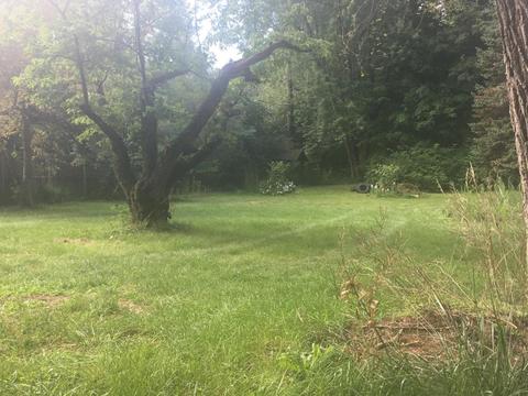 2505 S 3rd, Niles, MI 49120 photo 28