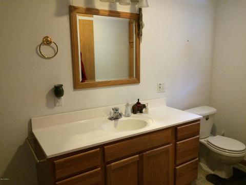741 Millard St, Belding, MI 48809 photo 11