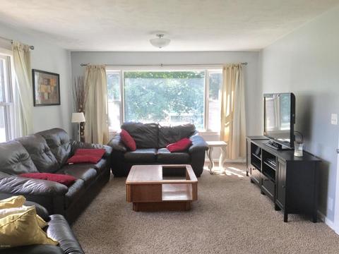221 E Walnut St, Carson City, MI 48811 photo 9