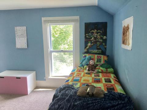 221 E Walnut St, Carson City, MI 48811 photo 27