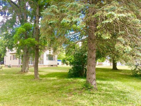 221 E Walnut St, Carson City, MI 48811 photo 36