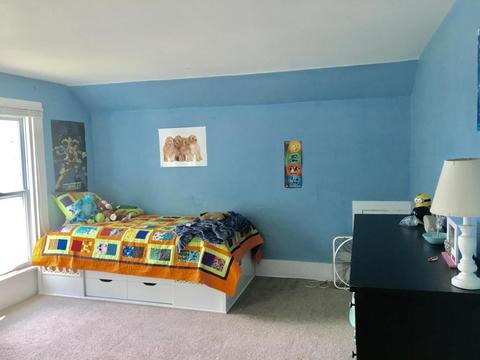 221 E Walnut St, Carson City, MI 48811 photo 24