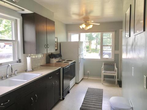 221 E Walnut St, Carson City, MI 48811 photo 15