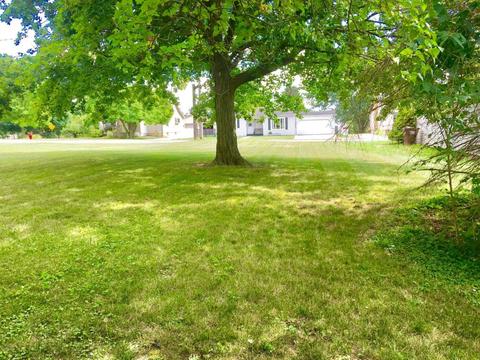 221 E Walnut St, Carson City, MI 48811 photo 37