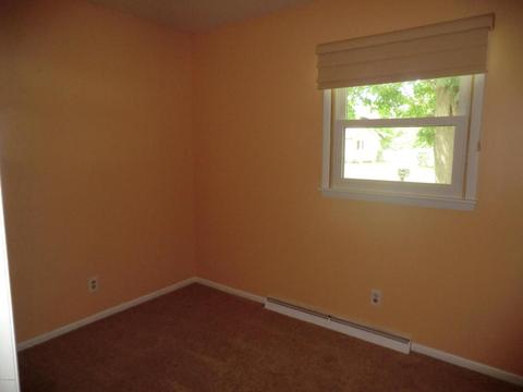 100 Smith St, Coldwater, MI 49036 photo 12