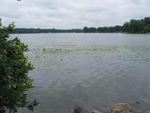 58396 Loop Rd, Three Rivers, MI 49093 photo 34