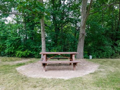 5251 Bartonville Rd, Belding, MI 48809 photo 19