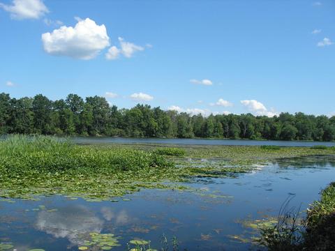 15601 River Heights Rd, Constantine, MI 49042 photo 25