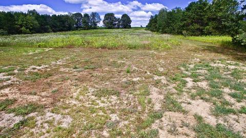 11441 E Colby, Crystal, MI 48818 photo 82