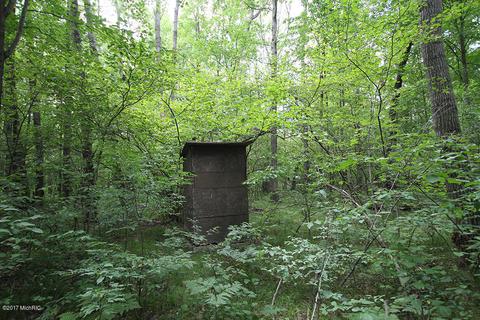 222 W Baseline Rd, White Cloud, MI 49349 photo 17