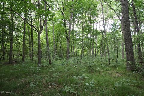 222 W Baseline Rd, White Cloud, MI 49349 photo 26