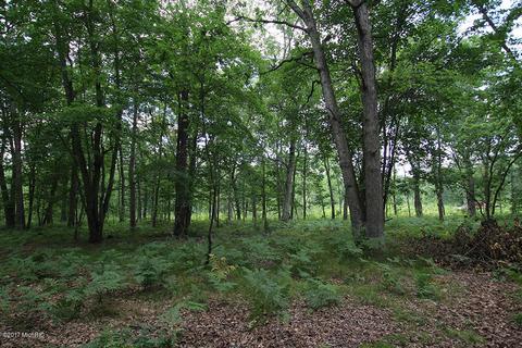 222 W Baseline Rd, White Cloud, MI 49349 photo 24