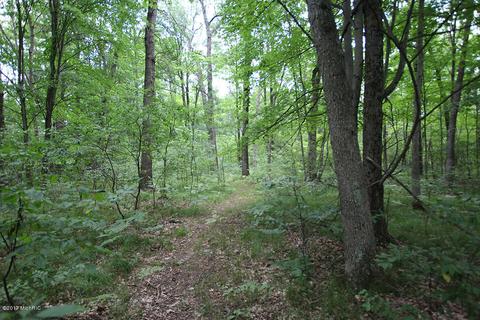 222 W Baseline Rd, White Cloud, MI 49349 photo 16