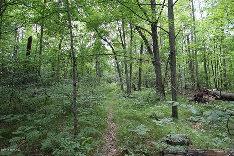 222 W Baseline Rd, White Cloud, MI 49349 photo 27