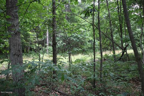 222 W Baseline Rd, White Cloud, MI 49349 photo 21