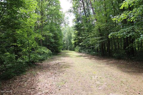 222 W Baseline Rd, White Cloud, MI 49349 photo 2