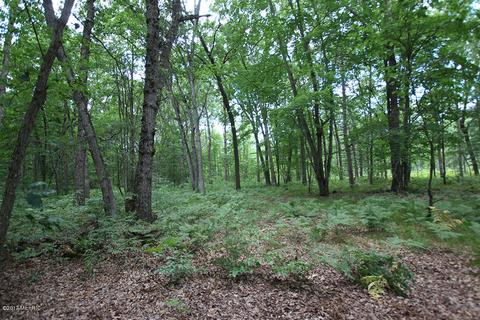 222 W Baseline Rd, White Cloud, MI 49349 photo 14