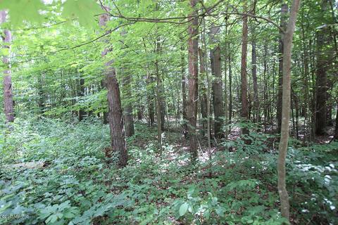 222 W Baseline Rd, White Cloud, MI 49349 photo 20