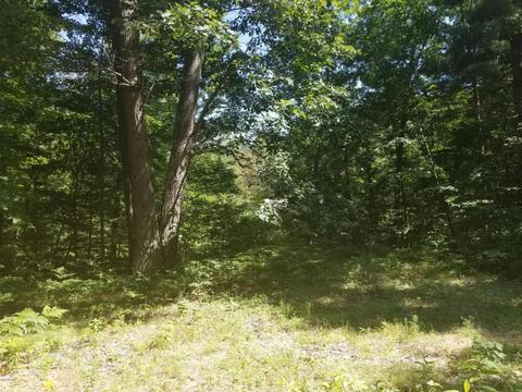 7579 E Yonker Rd, Hesperia, MI 49421 photo 10