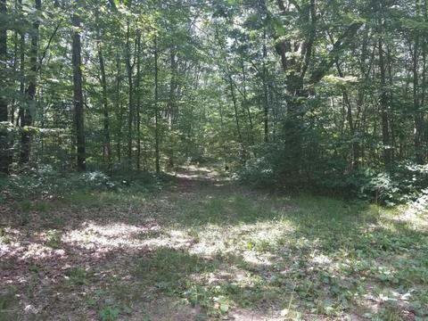 7579 E Yonker Rd, Hesperia, MI 49421 photo 11