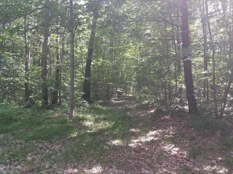 7579 E Yonker Rd, Hesperia, MI 49421 photo 13