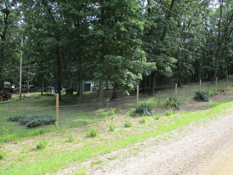 5231 110th Ave, Pullman, MI 49450 photo 3