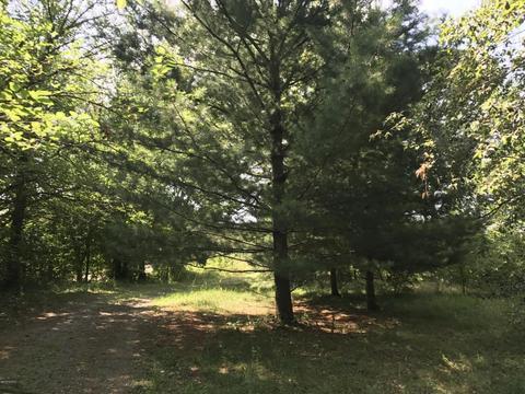 10878 Quaker St, Constantine, MI 49042 photo 14