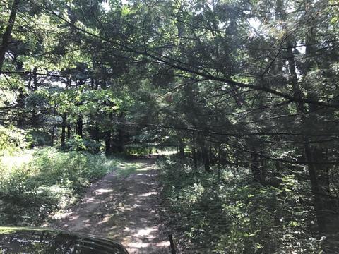 10878 Quaker St, Constantine, MI 49042 photo 13