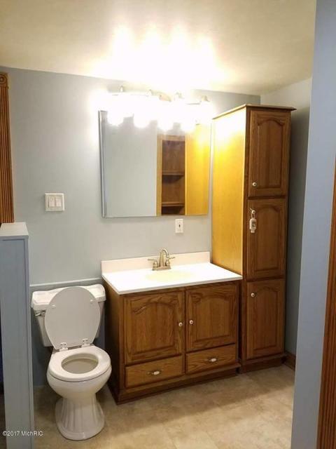 356 E Washington St, Pewamo, MI 48873 photo 8