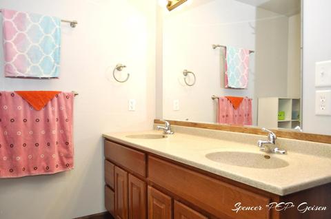 1019 Harding St, Belding, MI 48809 photo 27