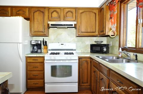 1019 Harding St, Belding, MI 48809 photo 12