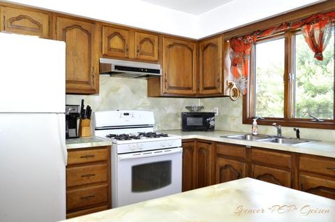 1019 Harding St, Belding, MI 48809 photo 13