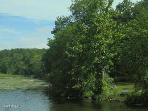 9105 David Hwy, Lyons, MI 48851 photo 26