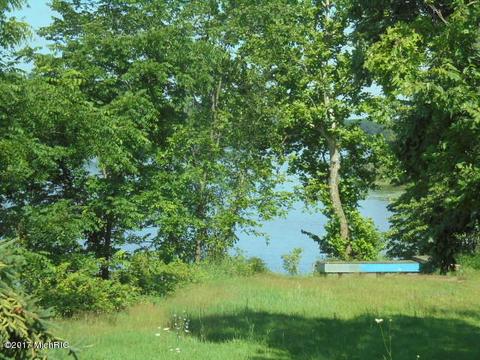 9105 David Hwy, Lyons, MI 48851 photo 8