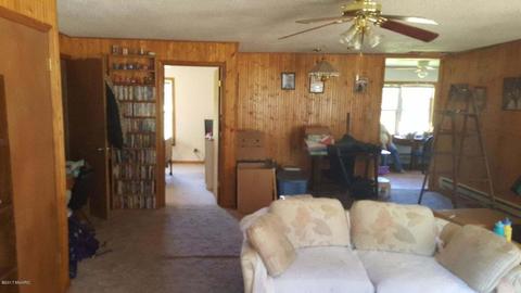 8431 James Rd, Baldwin, MI 49304 photo 6