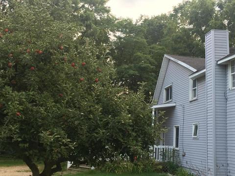 411 E Spring St, Whitehall, MI 49461 photo 22