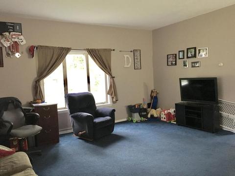 121 E Walnut St, Carson City, MI 48811 photo 20