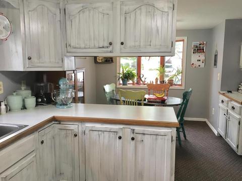 121 E Walnut St, Carson City, MI 48811 photo 14