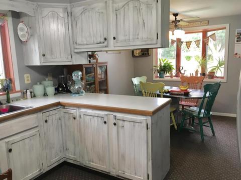 121 E Walnut St, Carson City, MI 48811 photo 16