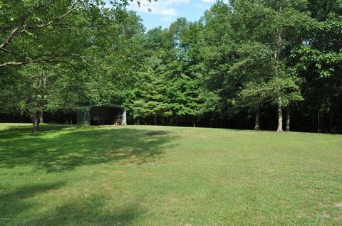 1154 46th St, Pullman, MI 49450 photo 36