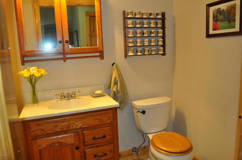 1154 46th St, Pullman, MI 49450 photo 22