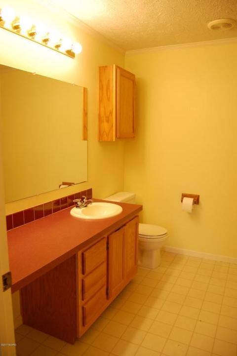 733 E Grant, Bronson, MI 49028 photo 10