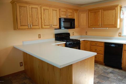 733 E Grant, Bronson, MI 49028 photo 4