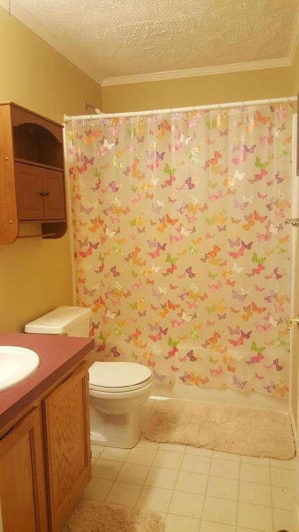 733 E Grant, Bronson, MI 49028 photo 13